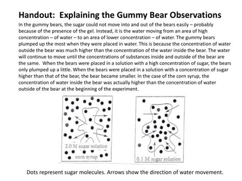 Gummy Bear Osmosis Explained