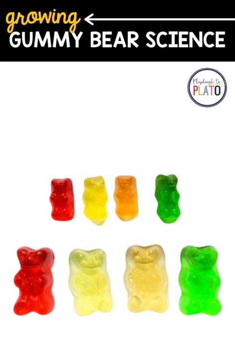 Gummy Bears Lab