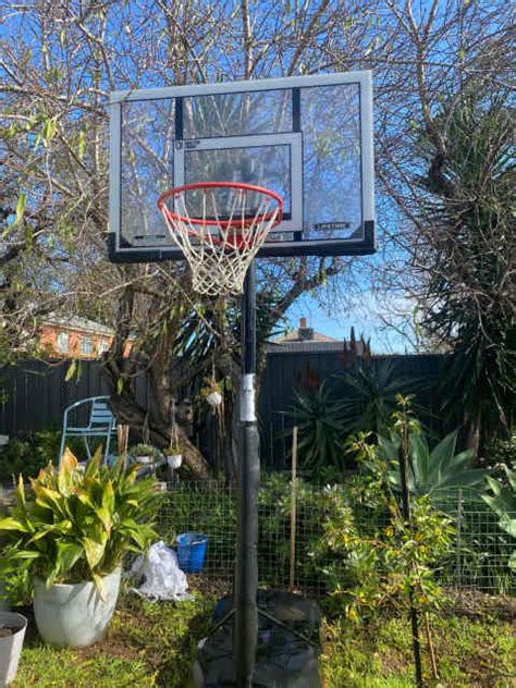 Gumtree Basketball