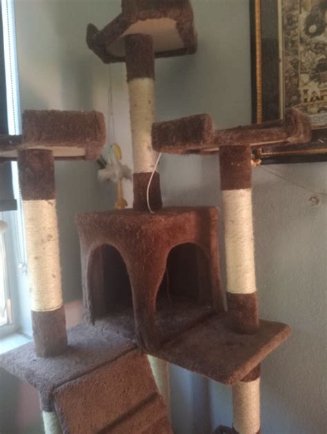 Gumtree Cat Tower