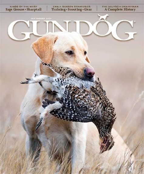 Gun Dog Subscription