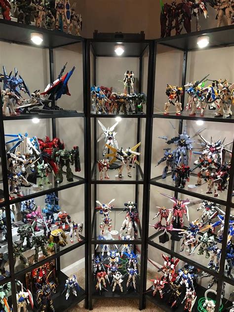 gundam display shelf
