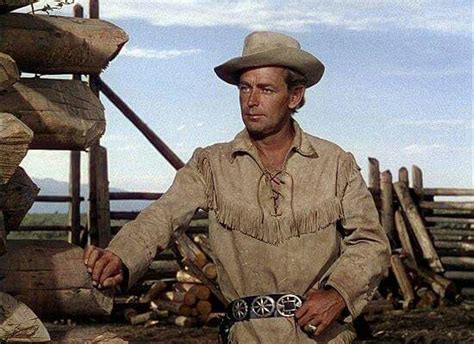 gunfighter played by alan ladd