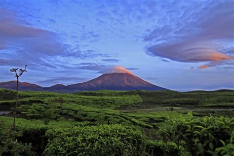 gunung tertinggi di pulau sumatera adalah