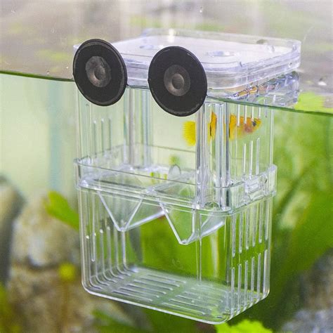 Guppy Breeder Box