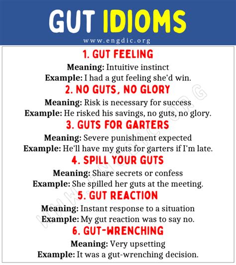 gut idioms