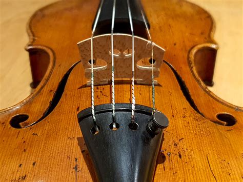 Gut Strings Of Violin