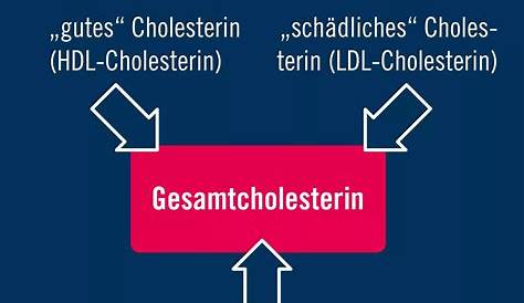 "Gutes" Cholesterin könnte tatsächlich schlecht sein - DEMedBook