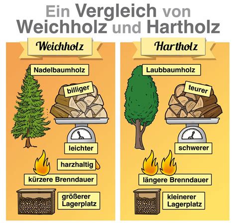 Eier kochen Zeit für weiche & harte Frühstückseier Knorr