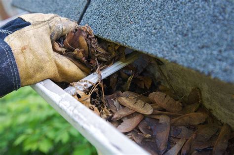home.furnitureanddecorny.com:gutter and downspout cleaning pittsburgh