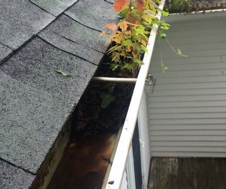 Gutter Cleaning Edison Nj