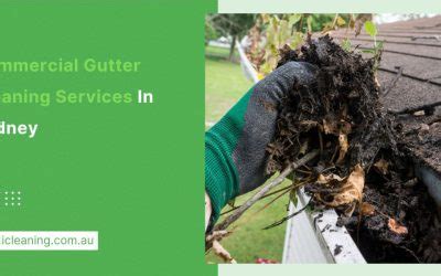Gutter Cleaning Sydney Prices