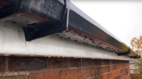 Gutters Not Coping With Rain