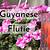 guyana flutie recipe