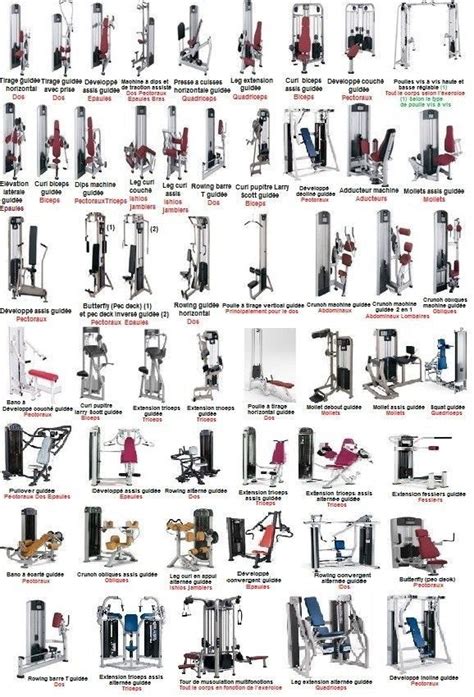 Gym Equipment Types