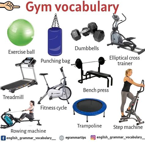 gym words in spanish