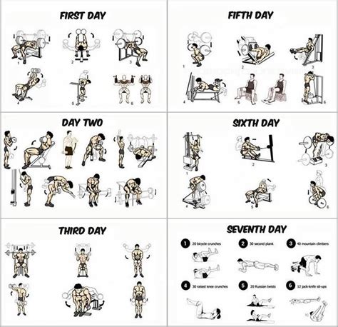 gym workout program
