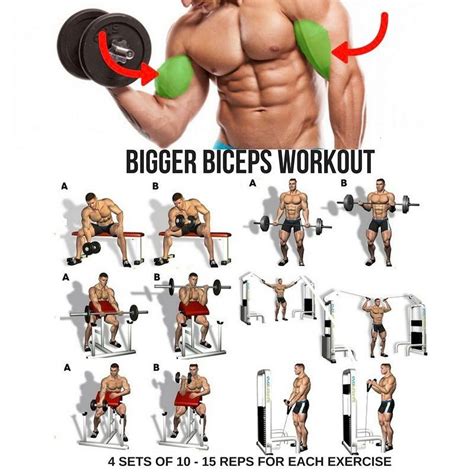 Gym Workout Tips Biceps