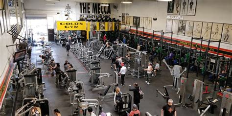Gym in Spring Hill, FL 11156 Spring Hill Dr Fitness