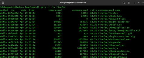 gzip directory command in linux with examples