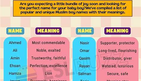 Nice Muslim Boys Names Meaning Starting with H 1 letter