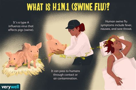 h1n1 bird flu 2009