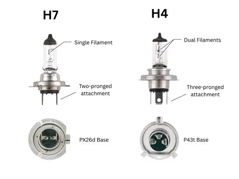 H7 Bulb Same As