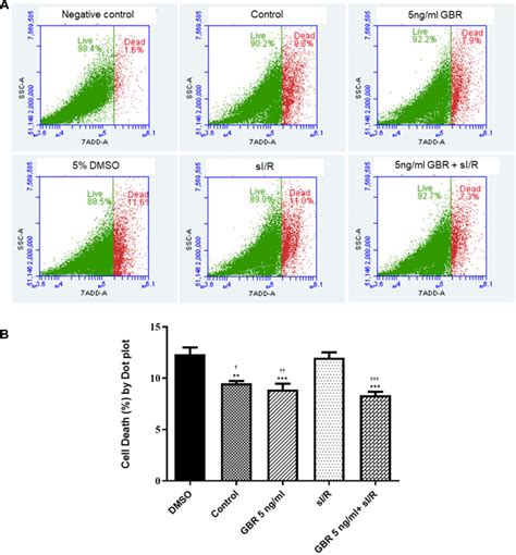 h9c2 cell line atcc