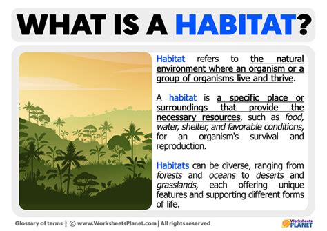Habitat Definition Igcse