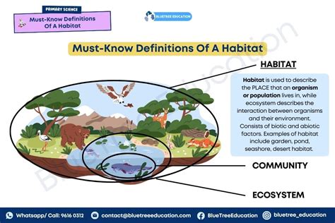 Habitat Definition In Dictionary
