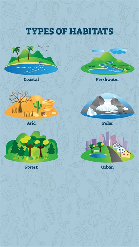 Habitat Examples Ecology
