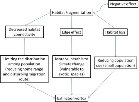 Habitat Fragmentation Negative Effects