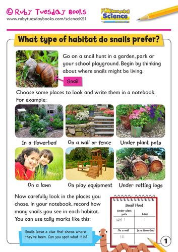 Habitat Snails Prefer