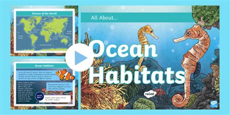 Habitats Ks2 Ppt