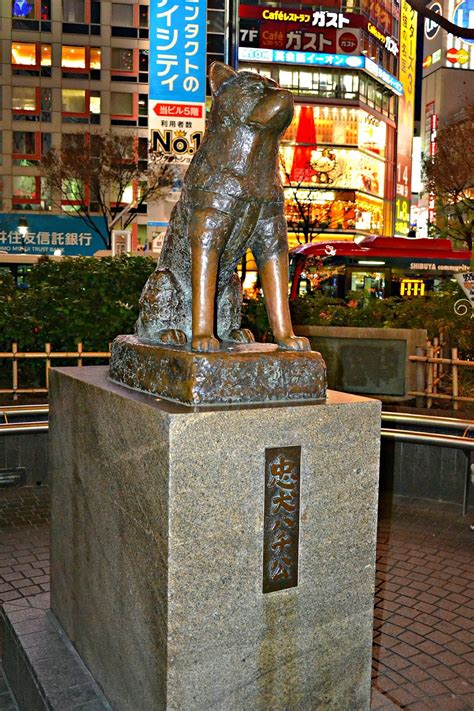 hachiko dog statue tokyo