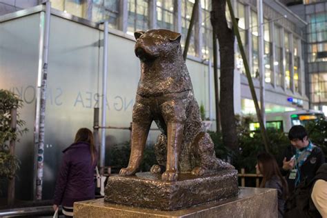 hachiko statue location in japan