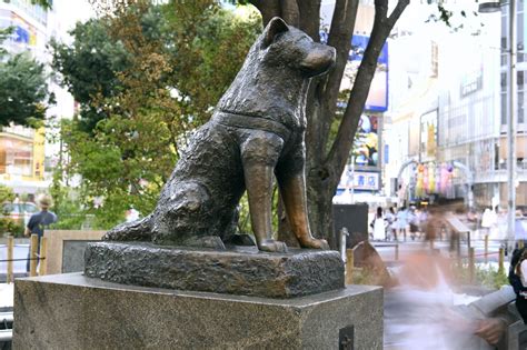 hachiko statue shibuya