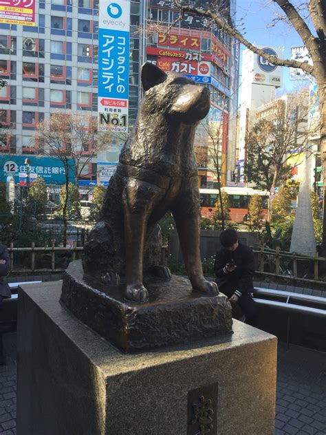 hachiko statue story