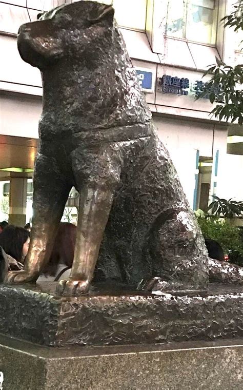 hachiko waits statue