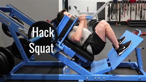 Hack Squat Back Position