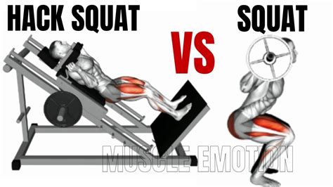 Hack Squat Vs Leverage Squat