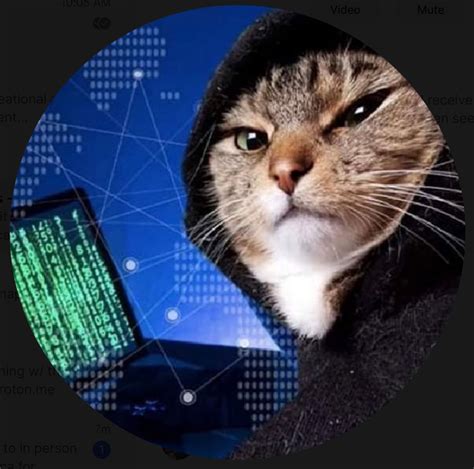Hacker Cat Meme