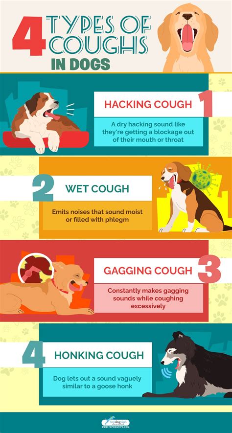 hacking cough in dogs