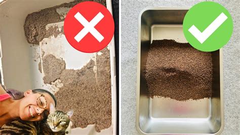 Hacks For Cat Litter