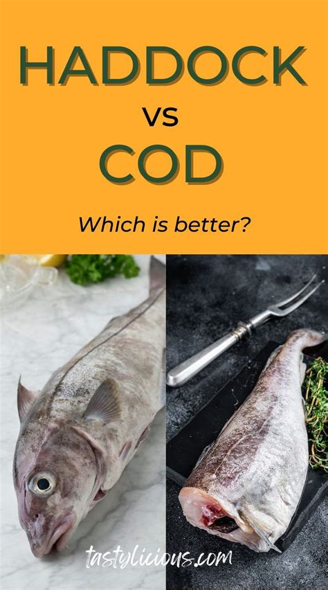 Haddock Cod Or Halibut