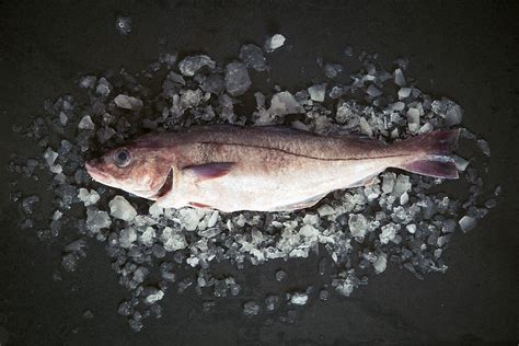 Haddock Fish On French