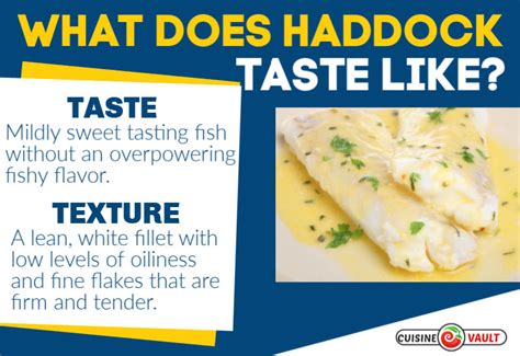 Haddock Meat Taste