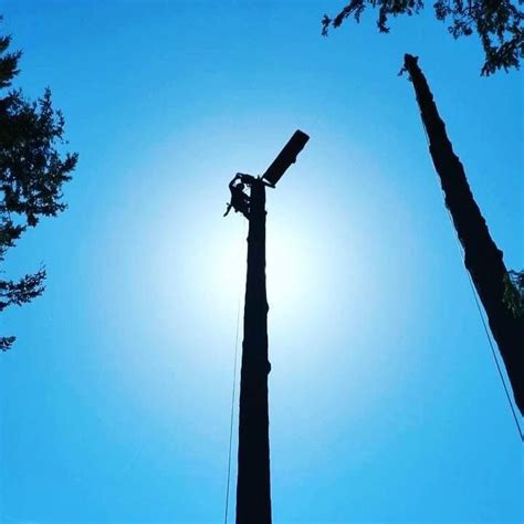 Haddock Tree Service