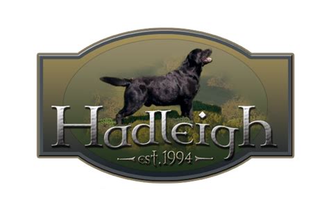 Hadleigh Labradors