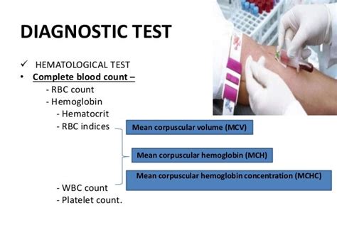 haematological assessment datura metel